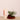 SEOUL 1988 Sun : Pine Tree + Ceramide