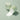 Ji Woo Gae Heartleaf BHA Peeling Pad