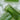 NONI Acne Bubble Cleanser
