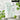 Green Plum Refreshing Cleaning Set
