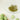 Green Plum Refreshing Cleaning Set